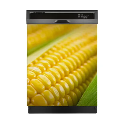 Produktbild von Magnete Dekorative 60x70 cm Küche Magnetmatte Spülmaschine - Gemüse Maiskolben