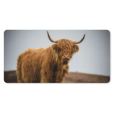 Produktbild von MuchoWow® Schreibtischunterlage Schottischer Highlander - Düne - Gras 80x40 cm - XXL Mauspad - Gaming Mauspad