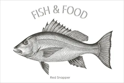 Produktbild von ESTAhome Wandtattoo Fisch Schwarz 145 x 97 cm