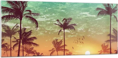 Produktbild von Bilder auf glas - Horizont Küste Kokosnuss Himmel - 120x50cm - Glasbilder - Wandbilder - Kunstdruck - zum Aufhängen bereit - Wanddekoration aus Glas - Glas Bilder - Wandbild auf Glas - GAB120x50-3121