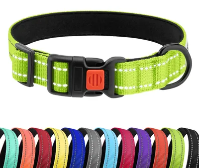 Produktbild von Reflektierendes Hundehalsband aus Nylon für kleine, mittelgroße und große Hunde