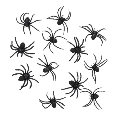Produktbild von 12 Schwarze Spinnen