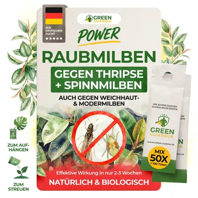 Produktbild von Power Raubmilben gegen Thripse und Spinnmilben,50 Mix(100Tüten),Biologisches Mittel zur effektiven Thripse & Spinnmilben Bekämpfung – GREEN GUARDIA