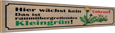 Produktbild von vianmo Holzschild 10x46 cm wächst kein Unkraut kleingrün Dekoration