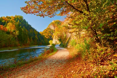 Obrázek produktu pro Fototapeta - Dunajec 375x250cm - netkaná tapeta