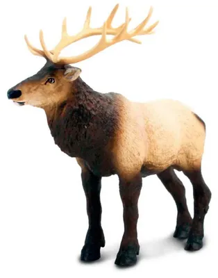 Zdjęcie produktu dla Safari Ltd 100303 Wapiti (Łoś) 20 cm Dzikie zwierzęta