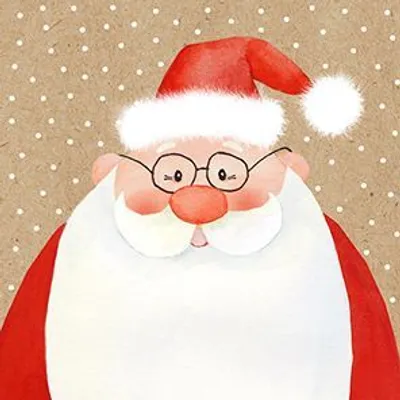 Produktbild von Braun & Company Servietten Cocktail Lieber Nikolaus 25 x 25 cm - 20er Pack