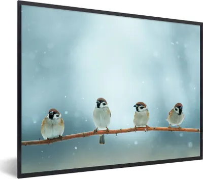 Produktbild von MuchoWow® Gerahmtes Poster Vögel - Spatz - Schnee - Winter 80x60 cm - Poster mit Schwarzem Bilderrahmen Wandposter Rahmen Foto Bilder - Schwarzem - Mit Gestell