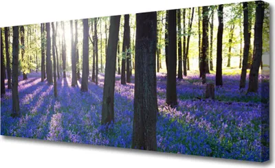 Produktbild von Tulup Leinwand-Bilder 125x50 Wandbild Canvas Kunstdruck Wald Natur