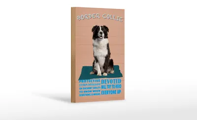 Produktbild von Holzschild Spruch 12x18cm Border Collie Hund protective
