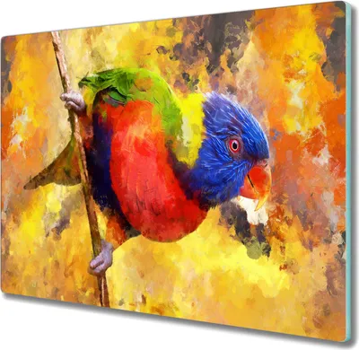 Produktbild von Coloray Schneidebrett Herdabdeckplatte 60x52 cm Kochplattenabdeckung Küchenbrett Hackbrett - Zweig Tier Vogel Papagei
