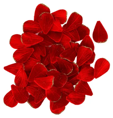 Produktbild von 60 Rosenblätter Samt Rot 3 x 5 cm -