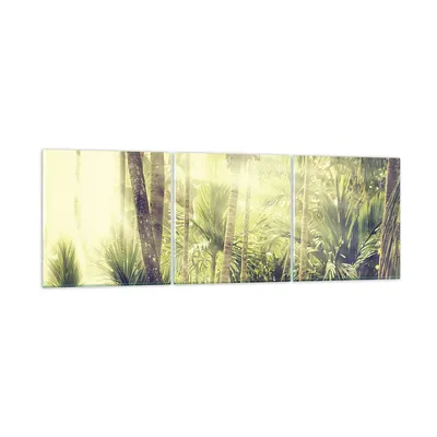 Produktbild von Bilder auf glas - 3 Teile - Morgendämmerung Dschungel Palmen - 150x50cm - Glasbilder - Wandbilder - Bilder - Wanddekoration aus Glas - Glas Bilder - Wandbild auf Glas - GCA150x50-4450
