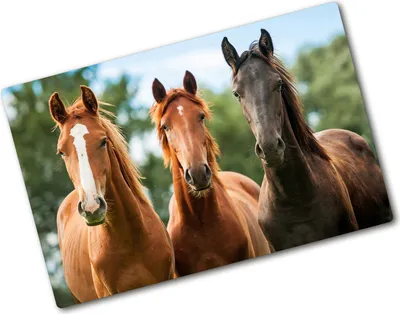 Produktbild von Tulup Glas Herdabdeckplatte - 80x52 cm - Glaskeramikkochfeld-Abdeckung Spritzschutz Glasabdeckplatte - Einteilig - Tiere - Drei Pferde - Braun
