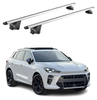 Produktbild von Dachträger Grundtäger für Cupra Terramar 2024-2026 100kg Aluminium Silber 2x, KI-generiertes Bild