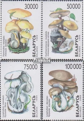 Produktbild von Briefmarken Weißrussland 1999 Mi 330-333 (kompl.Ausg.) postfrisch Pilze