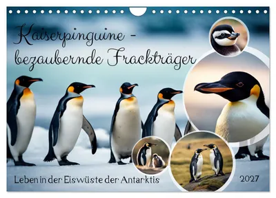 Produktbild von Kaiserpinguine - bezaubernde Frackträger (Wandkalender 2027 DIN A4 quer), CALVENDO Monatskalender