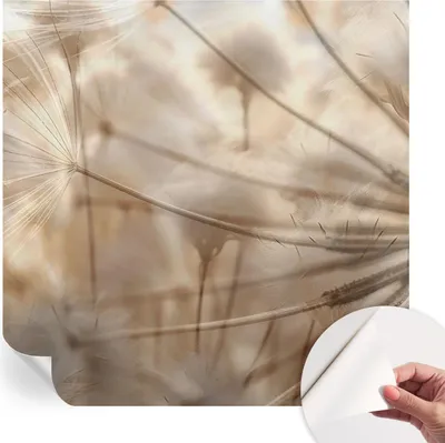 Produktbild von Selbstklebende Wandtapete - Dekorative Tapete für Wohnzimmer - Klebefolie für Wandbilder - Tapetenfolie für Wanddekoration - 250x250 cm - Zarte Löwenzahnblüten
