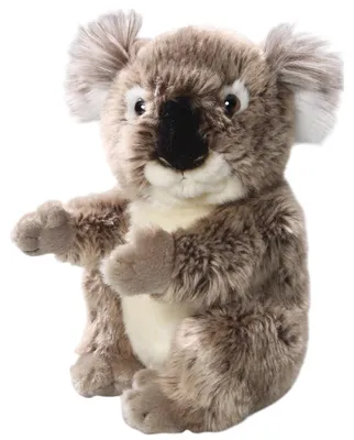 Immagine prodotto di Orso Carl Dick Koala di circa 22 cm, peluche, peluche, peluche 3681