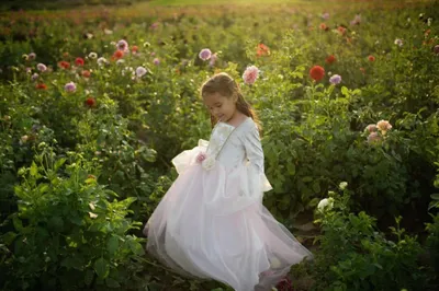 Produktbild von Prinzessinnenkleid Goldene Rose rosa/weiß, Größe 104/116, 4-6 Jahre, Fasching Prinzessin