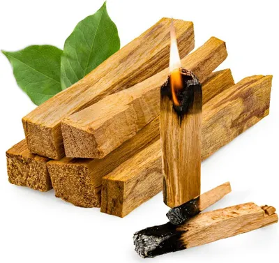 Produktbild von Räucherholz Palo Santo 1. Art aus Peru, holzig-frischer Duft nach Kiefer, Minze, Zitrone