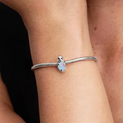 Produktbild von Pandora-Konto, 925Er Silber 794146C01
