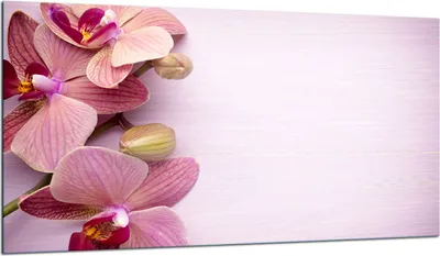Produktbild von Herdabdeckplatte Glaskeramikkochfeld-Abdeckung Spritzschutz Glas 90x52 Orchidee