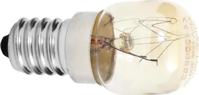 A close-up studio shot of a light bulb with a screw base.