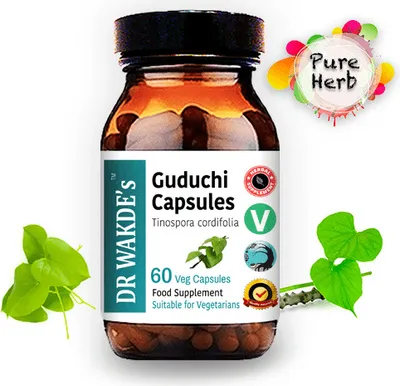 Produktbild von DR WAKDE'S Guduchi Kapseln (Tinospora cordifolia) | 60 Vegi Caps | Ayurveda-Supplement | Vegan | 100% Kräuter | Mengenrabatte | Am selben Tag Versand