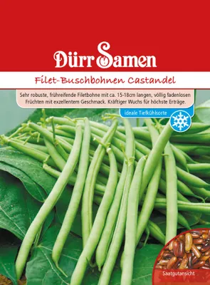 Produktbild von Buschbohne Castandel | Buschbohnensamen von Dürr Samen