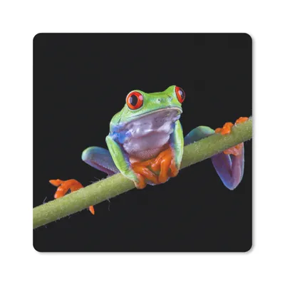 Produktbild von MuchoWow® Mauspad Mousepad Frosch - Pflanze - Schwarz 20x20 cm - Mousepads - Maus Mat - Pad - Mausunterlage - Desk Mat - Bureauartikeln