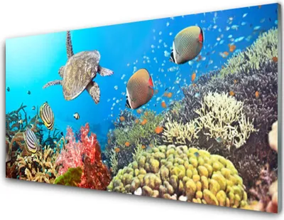 Produktbild von Acrylglasbilder 100x50 Wandbild Druck Korallenriff Landschaft