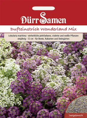 Produktbild von Dufteinstrich Wonderland Mix | Dufteinstrichsamen von Dürr Samen