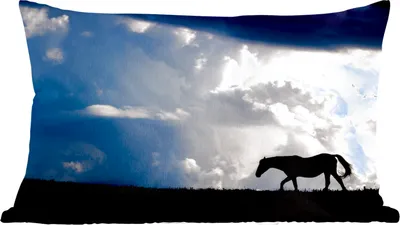 Produktbild von MuchoWow® Zierkissen Sofakissen Wohnzimmer Dekokissen 50x30 cm Pferd - Wolken - Schatten - Wohnzimmerdekoration - Polster mit Photo