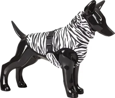 Produktbild von PAIKKA Hunde Kühlweste Antiparasit "Cool & Bug vest", Rückenlänge: 40 cm