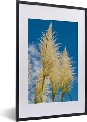 Produktbild von MuchoWow® Gerahmtes Poster Pflanzen - Pampasgras - Luft 40x60 cm - Poster mit Schwarzem Bilderrahmen Wandposter Rahmen Foto Bilder - Poster in Rahmen
