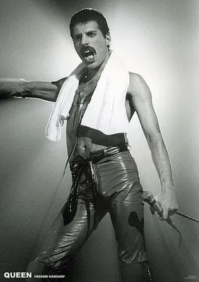 Obrázek produktu pro QUEEN - Freddie Mercury - Plakát - 59x84 cm