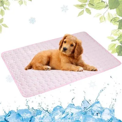 Produktbild von Dauerhafte Kühlmatten für Hunde - Sommerkühlmatten für Hunde - Kühlmatten für Katzen von der kalten Seite - Waschbar - Nachhaltige Kühlmatten für Haustiere - Kühlschutz für Hunde und Katzen - Atmende Kühlschutzmatte von der kalten Seite - Haustierbedarf - 50x40cm (S)