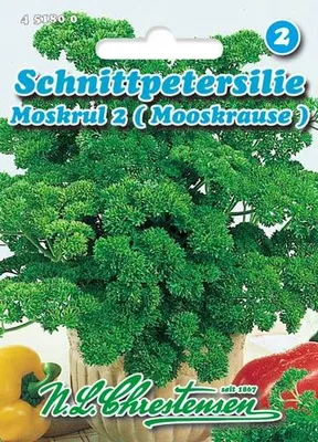 Artikelbild 1 von 'Petersilie Mooskrause 2 (35 g)' aus der Kategorie Petersiliensamen