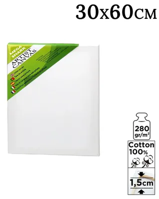 Obrázok produktu pre Plátno – napnuté plátno – 100 % bavlna – drevený rám – vhodné pre akrylové a olejové farby – biela farba – 30 x 60 cm