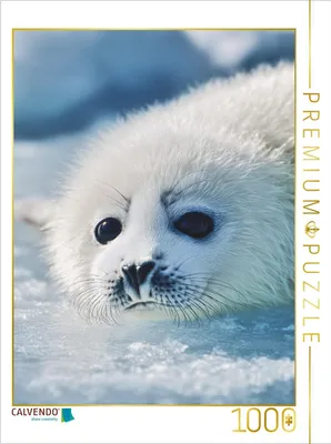 Produktbild von CALVENDO Puzzle Wenn Augen sprechen könnten | 1000 Teile Lege-Größe 64x48cm Foto-Puzzle für glückliche Stunden