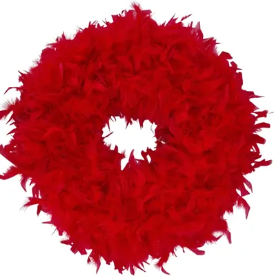 Produktbild von Federkranz Dekokranz FEDERN rot 50-55cm CreaFlor Home