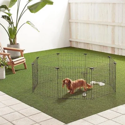 Zdjęcie produktu dla Metalowa bramka treningowa dla psów, 152,4 x 152,4 x 60,9 cm, czarna
