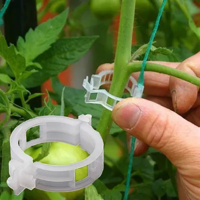 Produktbild von Befestigungsclips 100 Stück - Unterstützung für Pflanzen - Für Tomaten/Blüten/Gemüse - Kunststoff - Verriegelungskragen - Schadensfreie Befestigung - Pflanzenclips