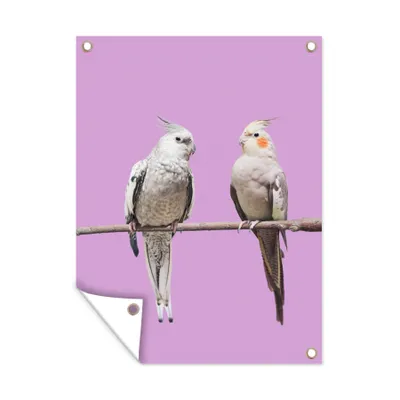 Obrázek produktu pro MuchoWow® Zahradní plakáty - Papoušci sokolí - 160x120 cm - Zahradní dekorace