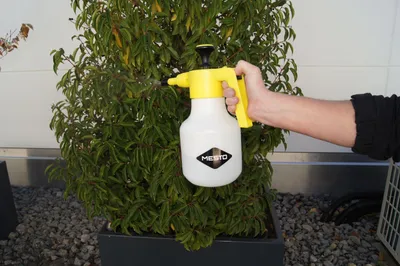Zdjęcie produktu dla Mesto Universal Drucksprüher Füllinhalt 1,5l; Kunststoff; Düse verstellbar
