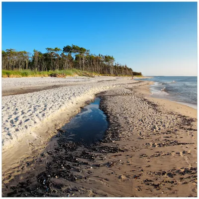 Produktbild von Wallario Möbeldesign -  Glasplatte, Schutzplatte mit Motiv - geeignet für Ikea Lack Tisch, Größe: 55 x 55 cm, Motiv: Einsamer Strand am Meer - Blauer Himmel