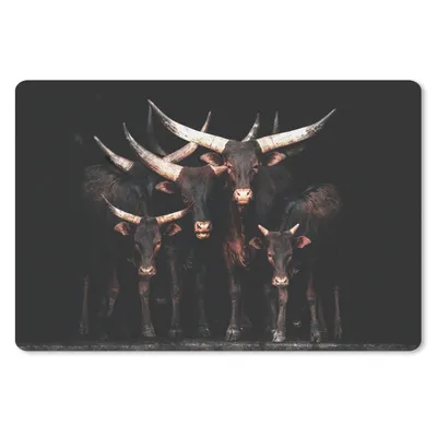 Produktbild von MuchoWow® Schreibtischunterlage Kuh - Watussi - Schwarz - Hörner 60x40 cm - XXL Mauspad - Großes Mauspad