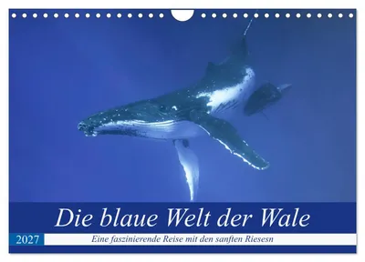 Produktbild von Die blaue Welt der Wale (Wandkalender 2027 DIN A4 quer), CALVENDO Monatskalender