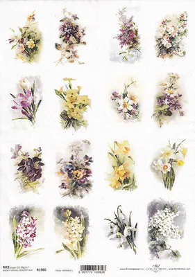 Produktbild von ITD Reispapier Decoupage Bastelpapier, A4 R1980 Frühlingsblumen